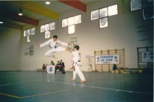 fr volo II dan 94