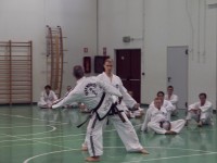 MMP5
