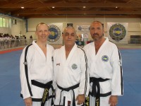 2011_IIC_It_M.S