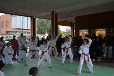 primo_maggio_2017(5)