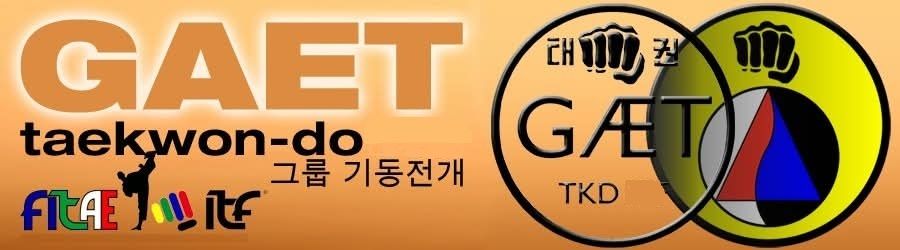 G.E.T. - Gruppo Evoluzione Tae Kwon-do. Padova